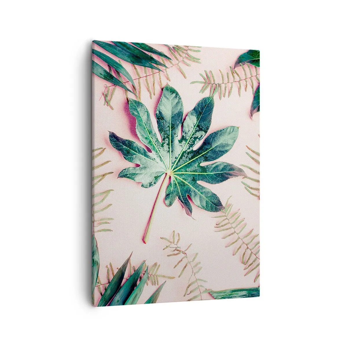 Canvastavla - Bild på duk - Grönskans studie mot rosa bakgrund - 50x70 cm