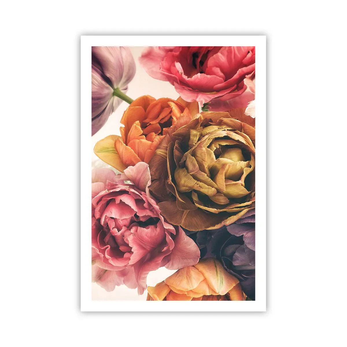 Affisch - Livets högtid - 61x91 cm