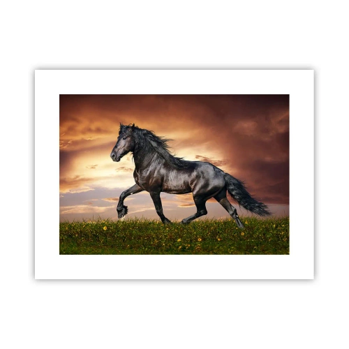 Affisch - Svarta prinsen - 40x30 cm