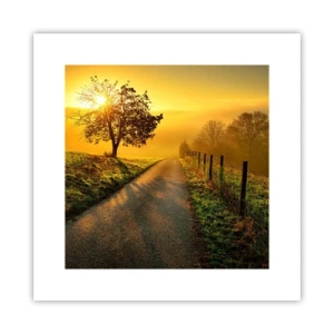 Affisch - Honungfärgad eftermiddag - 30x30 cm