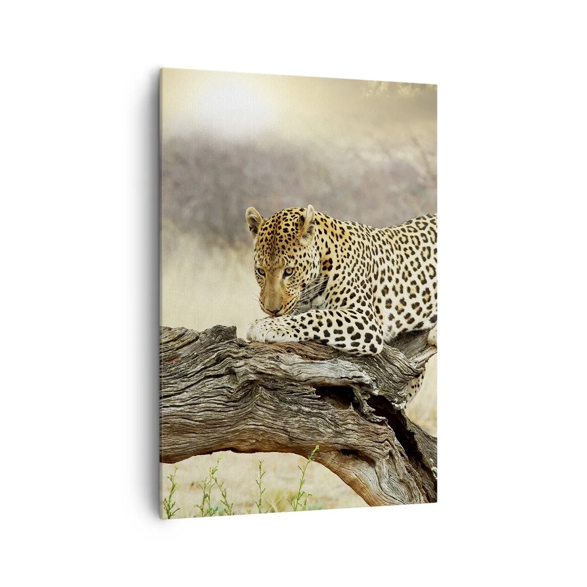 Canvastavla - Bild på duk - Jag går min egen väg - 70x100 cm