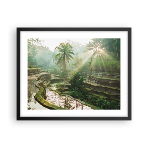 Affisch i svart ram - Växa upp i solsken - 50x40 cm