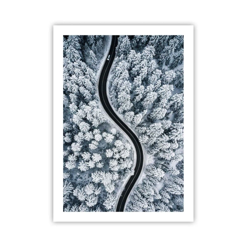 Affisch - Genom vinterskogen - 50x70 cm