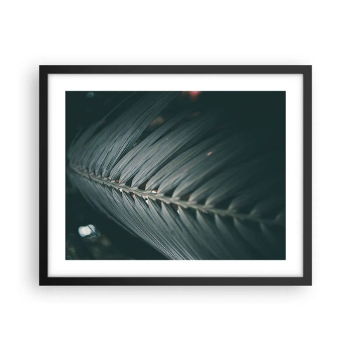 Affisch i svart ram - Naturens precision - 50x40 cm