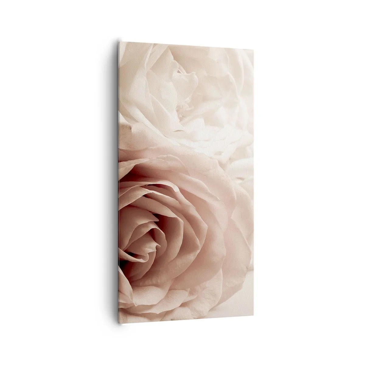 Canvastavla - Bild på duk - I hjärtat av en ros - 65x120 cm