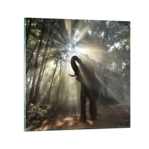 Glastavla - Bild på glas - Under en lycklig stjärna - 50x50 cm