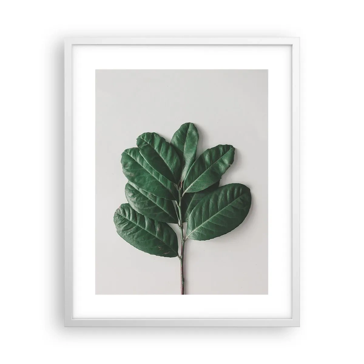 Affisch i vit ram - Själva naturens bild - 40x50 cm