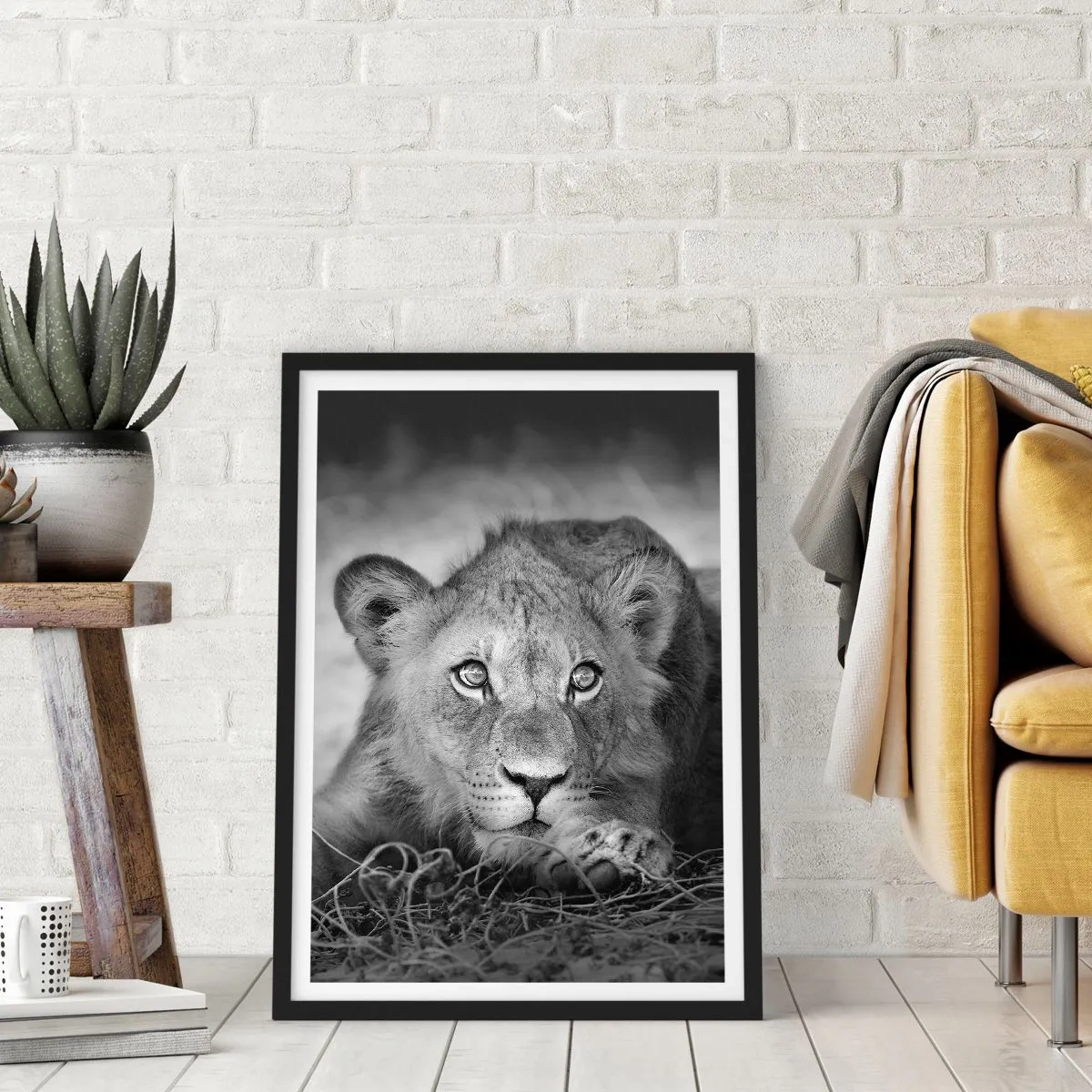 Affisch i svart ram - Ett ungt lejon i monokromatiska toner - 50x70cm - Kunglig valp - Modern väggdekoration för vardagsrum och sovrum ARTTOR