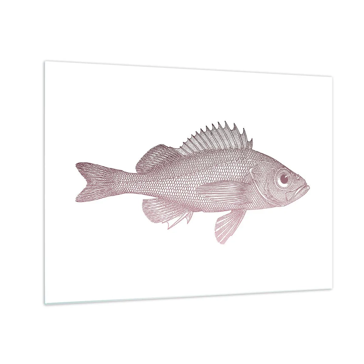 Glastavla - Bild på glas - Grafik av en fisk med ett stort öga i retrostil mot vit bakgrund - 70x50cm - Storögd fisk - Modern väggdekoration för vardagsrum och sovrum ARTTOR