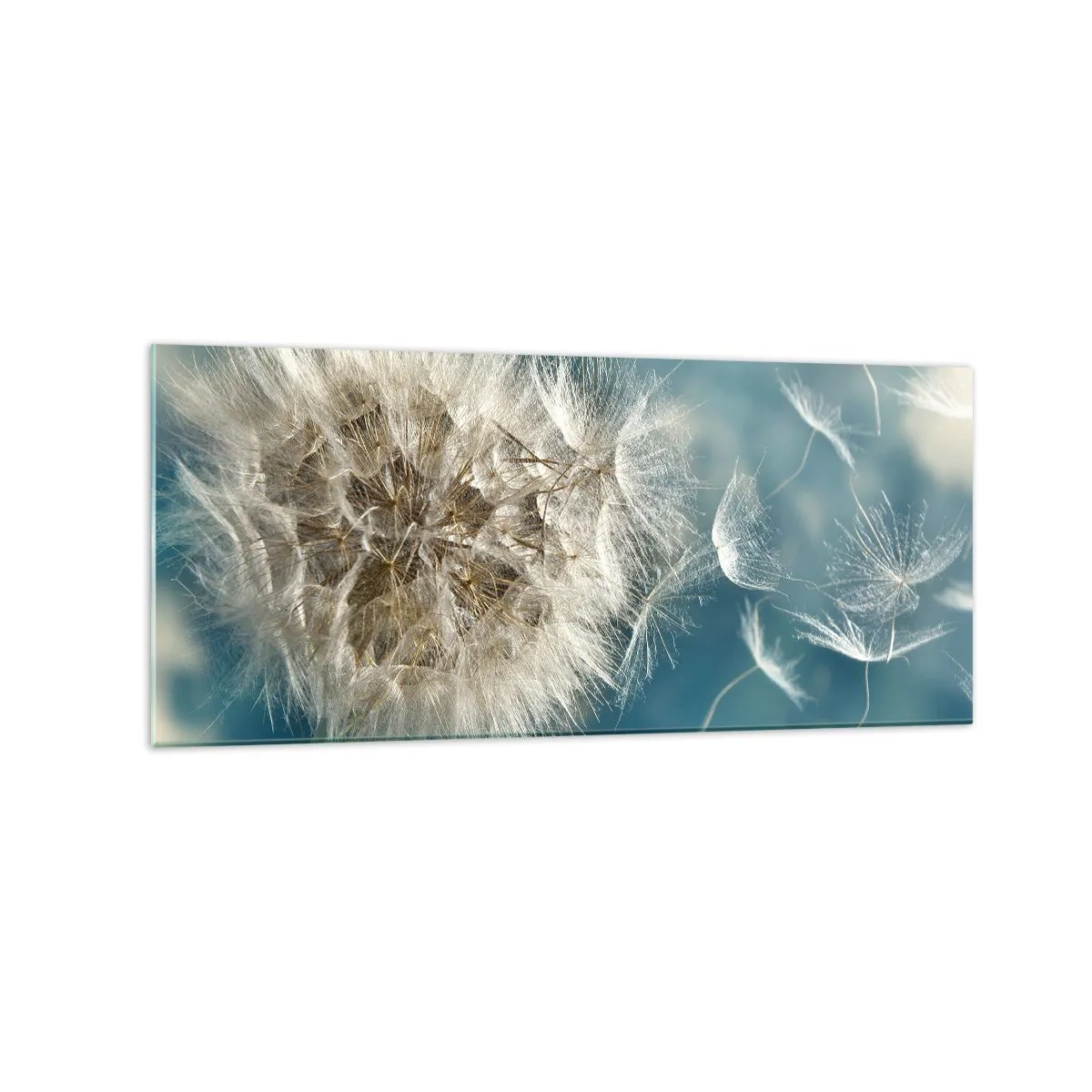 Glastavla - Bild på glas - Ängelns andetag - 120x50 cm