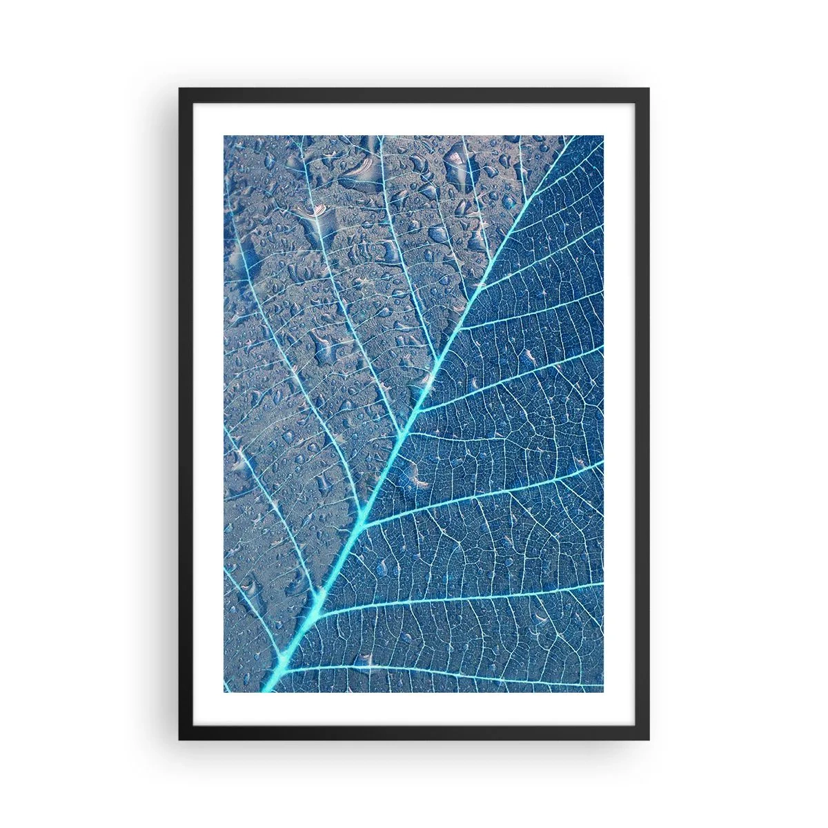 Affisch i svart ram - Närbild av ett löv i nyanser av blått - 50x70cm - Livet i det blåa - Modern väggdekoration för vardagsrum och sovrum ARTTOR