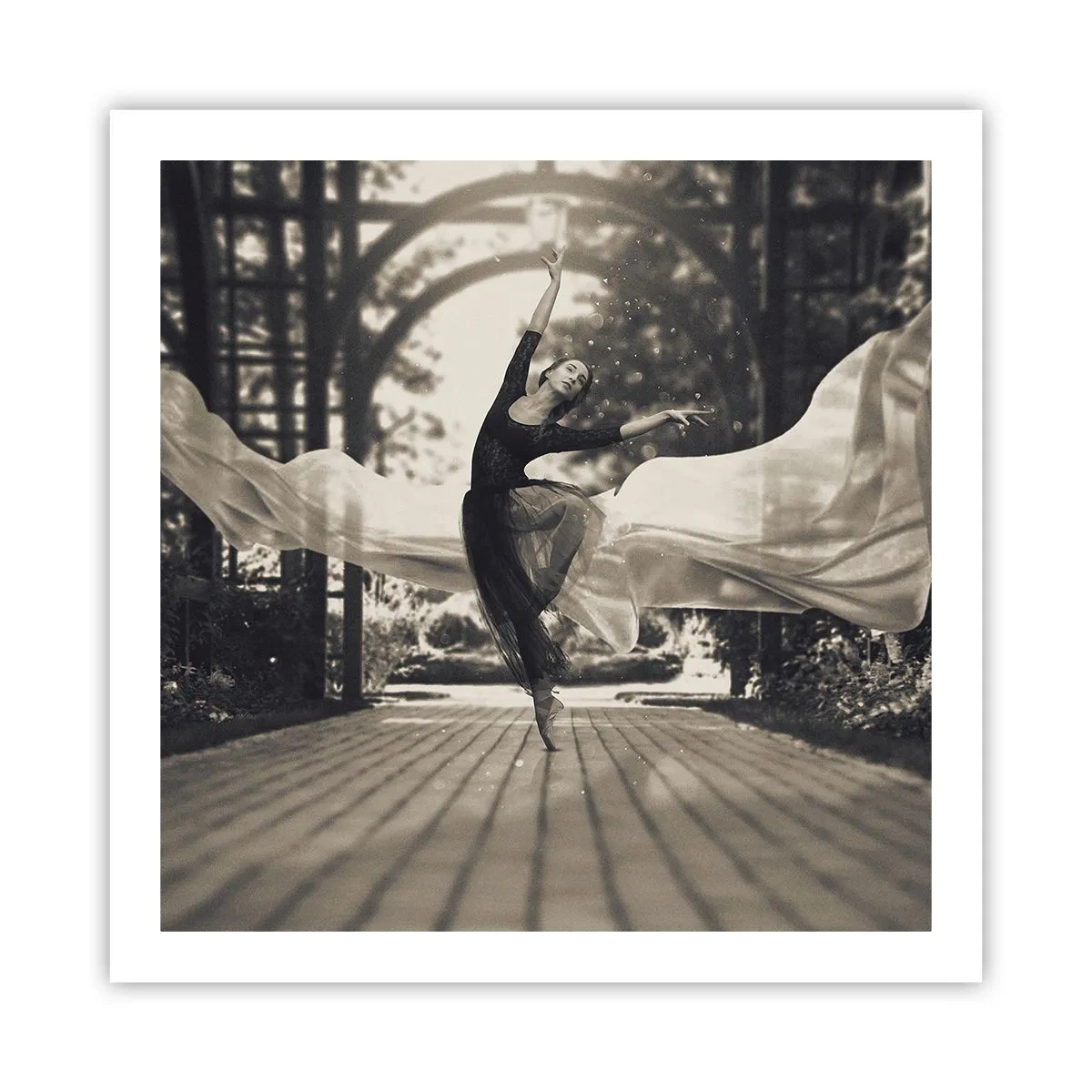 Affisch - Trädgårdsandens dans - 60x60 cm