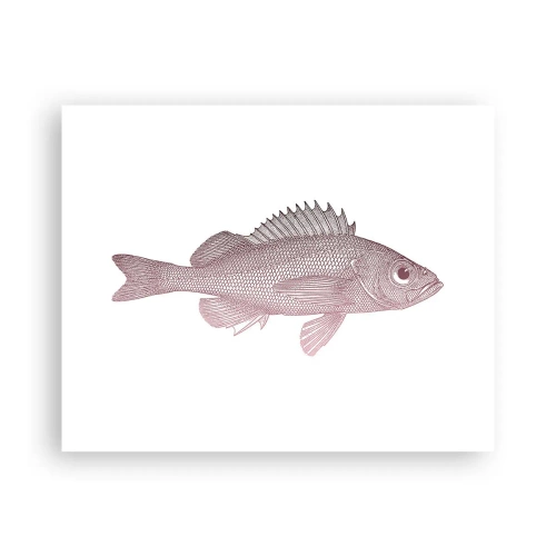 Affisch - Storögd fisk - 50x40 cm
