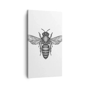 Canvastavla - Bild på duk - Porträtt av en insekt - 45x80 cm