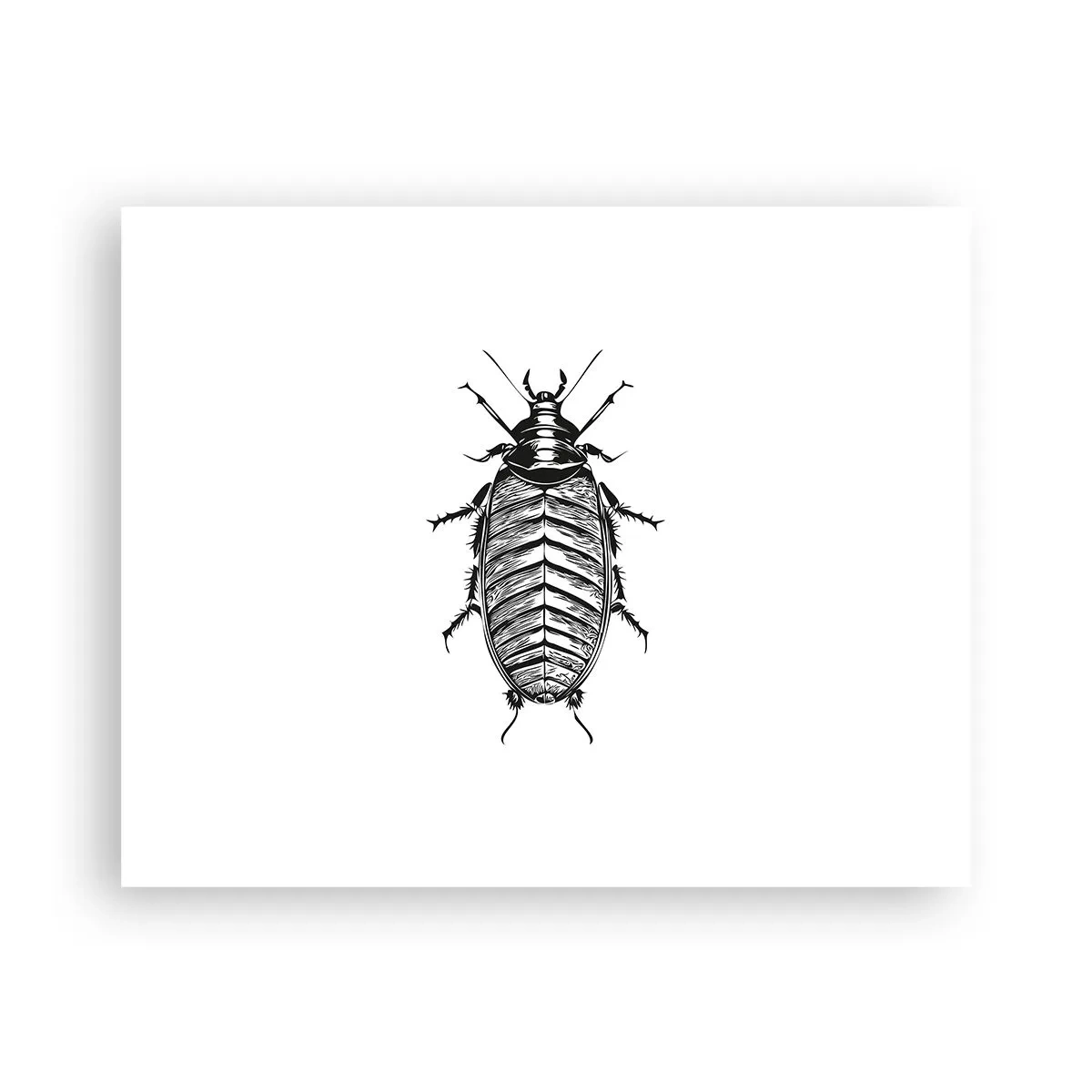 Affisch - Vilket exemplar! - 50x40 cm