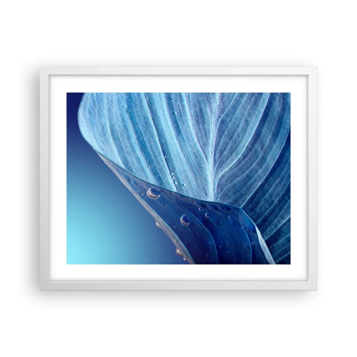Affisch i vit ram - Dolda droppar av blått - 50x40 cm