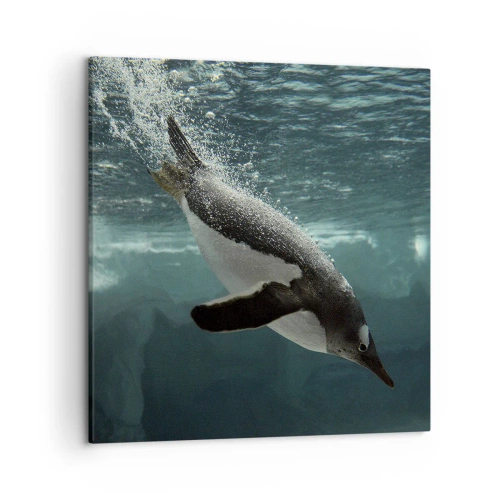 Canvastavla - Bild på duk - Välkommen till min värld - 50x50 cm