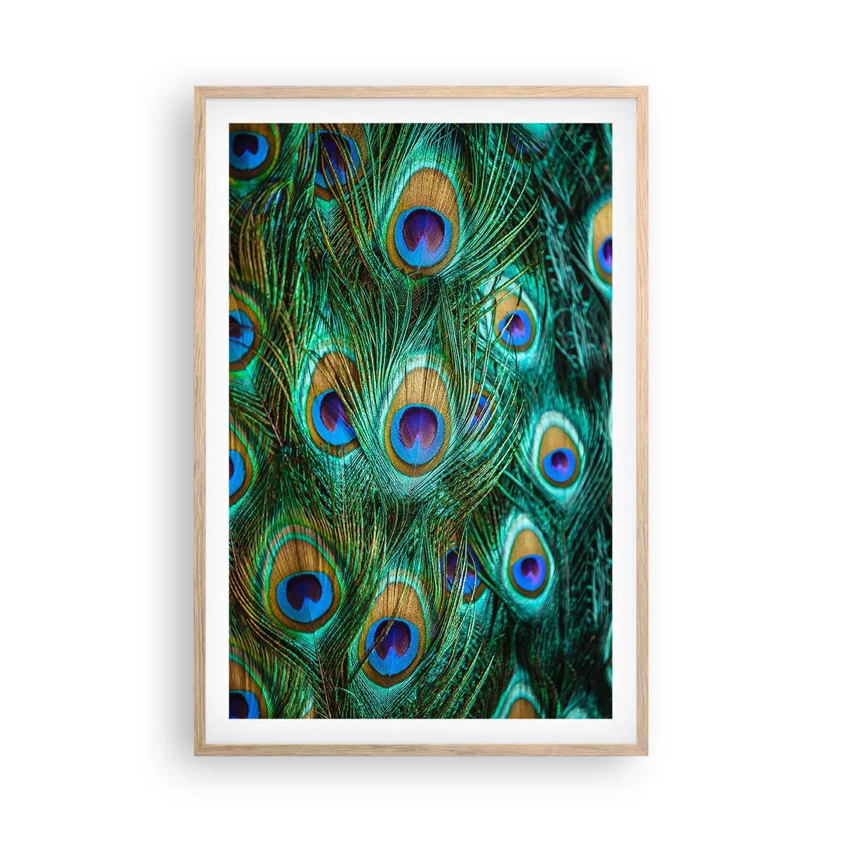 Affisch i ram av ljusek - Påfågels blick - 61x91 cm