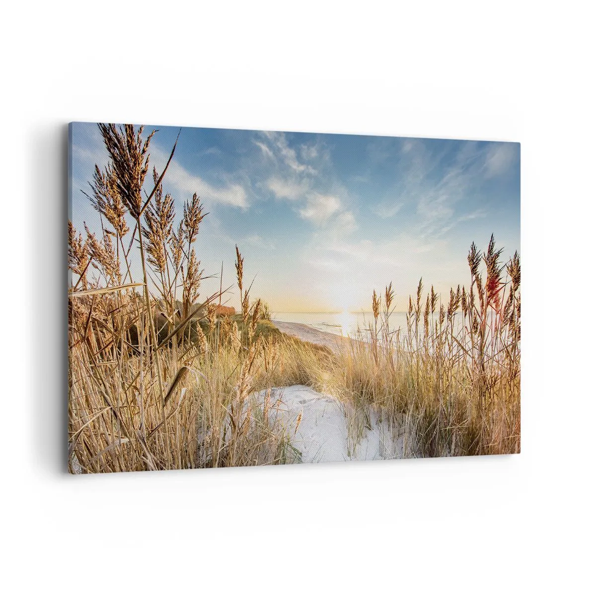 Canvastavla - Bild på duk - Nordlig strand - 120x80 cm