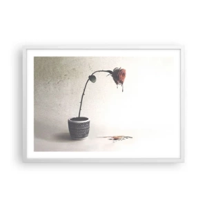 Affisch i vit ram - Rosa dolorosa - 70x50 cm