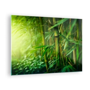 Glastavla - Bild på glas - Grön bambuskog i solskenet - 70x50cm - Lär känna grönskan i sig - Modern väggdekoration för vardagsrum och sovrum ARTTOR