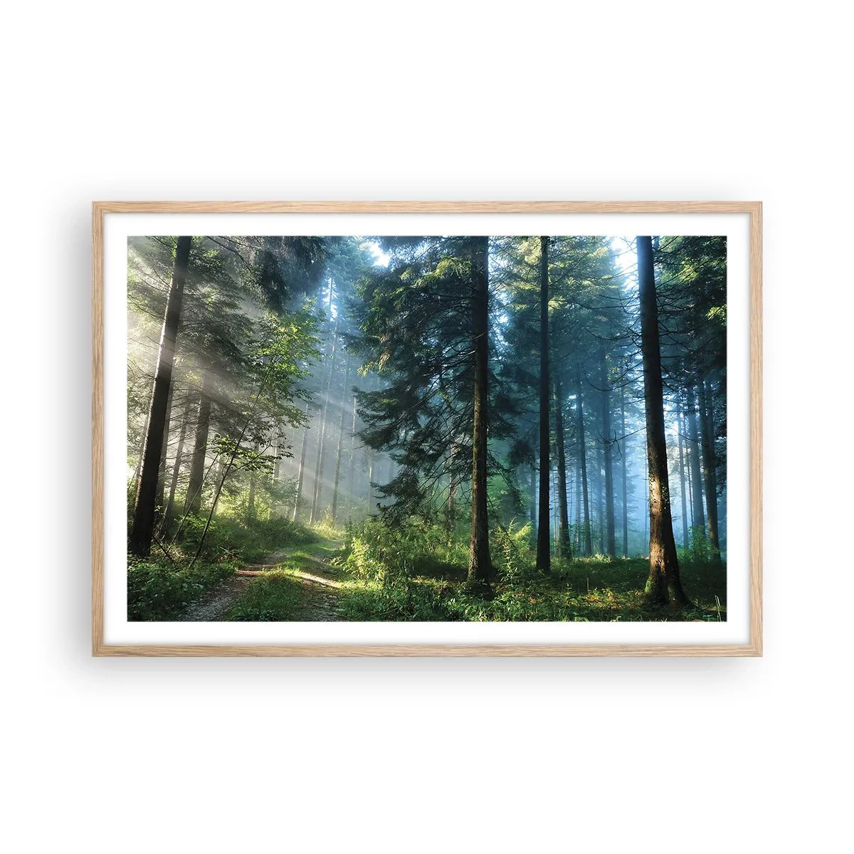 Affisch i ram av ljusek - Strålande på morgonen - 91x61 cm