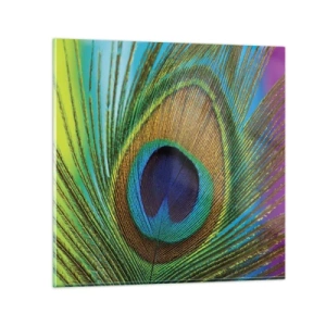 Glastavla - Bild på glas - Öga mot öga - 70x70 cm