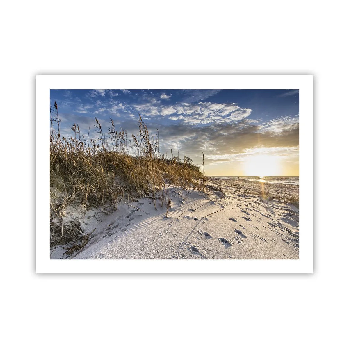 Affisch - Inbjudan till promenad - 70x50 cm