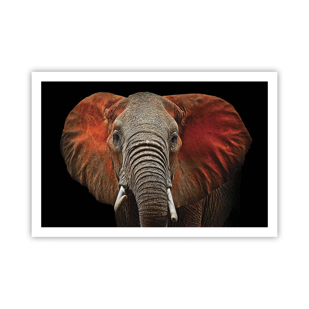 Affisch - Jag är vild, och du? - 91x61 cm