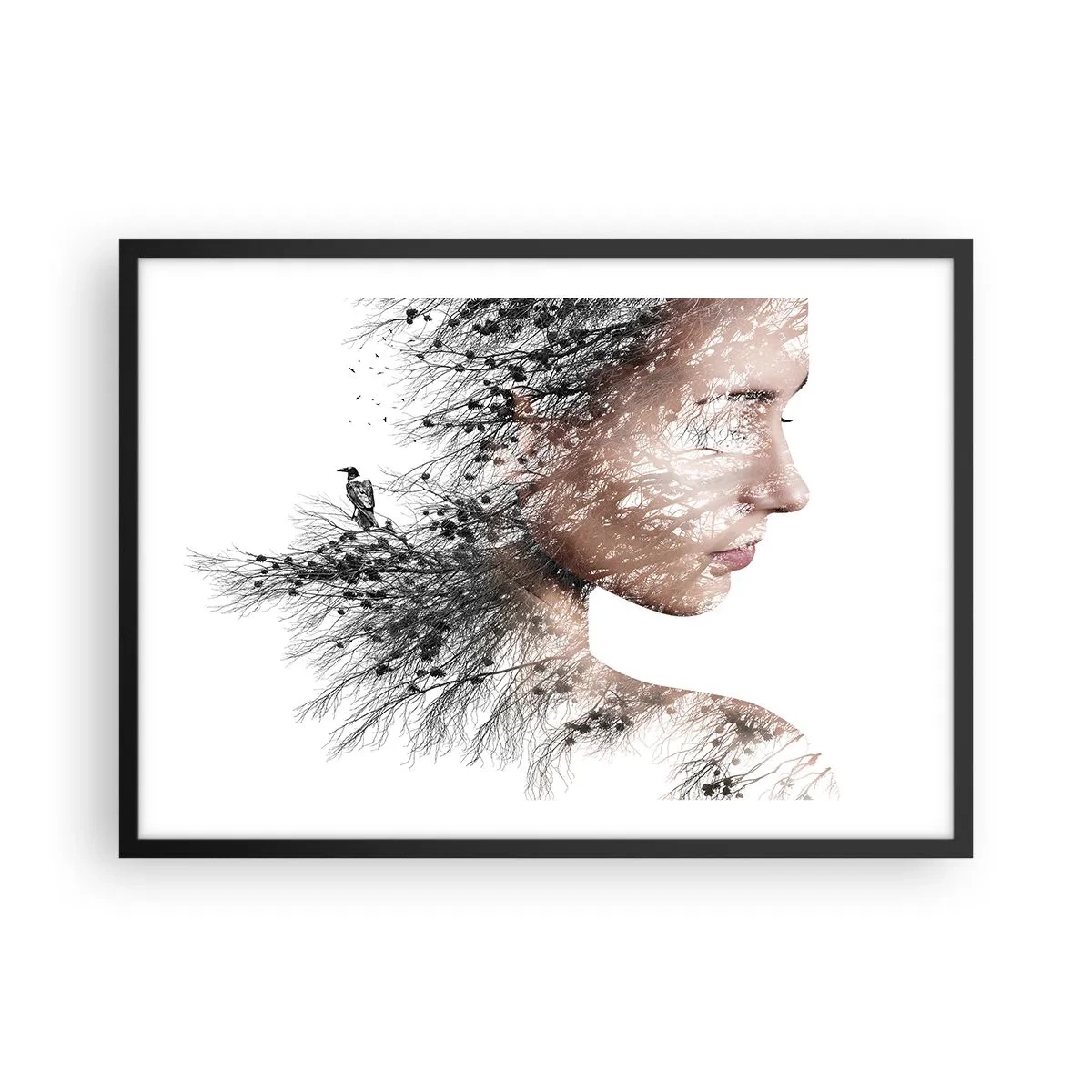 Affisch i svart ram - Skogens ande - 70x50 cm
