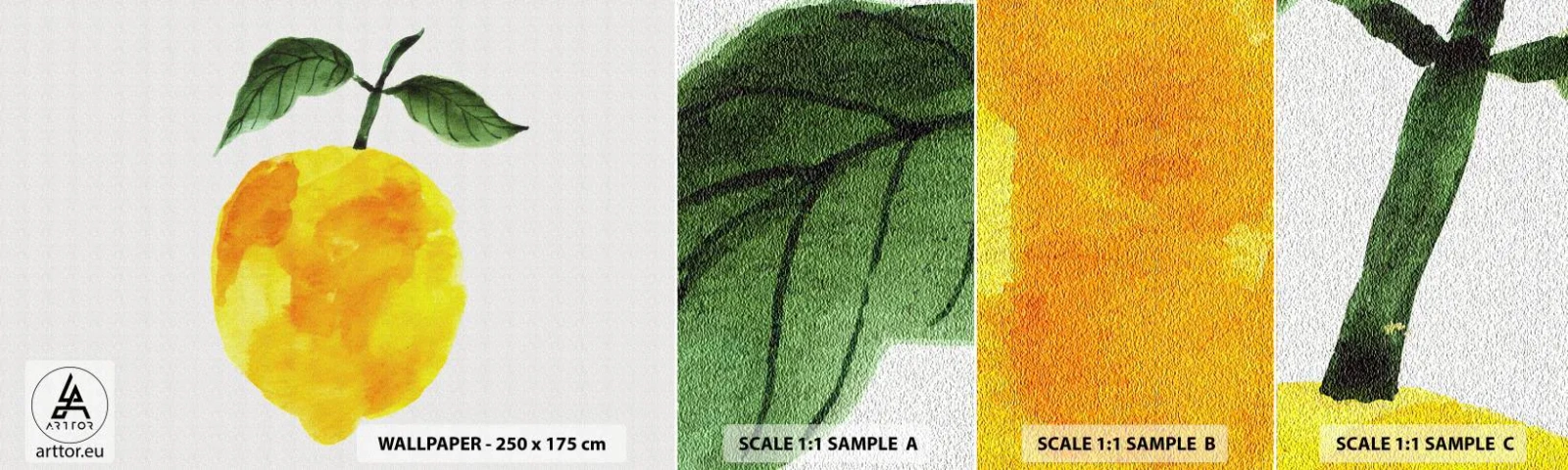 Fototapet Prov Standard Eco - Hur man känner smaken av solen - Citron, Kök, Frukt - 100x30 cm