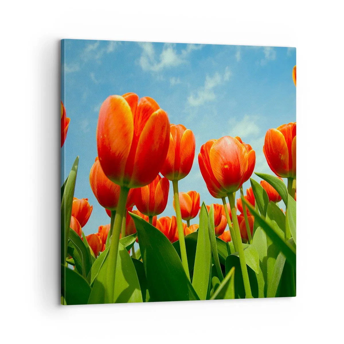 Canvastavla - Bild på duk - Förutom blå himmel behöver vi inget annat i livet - 60x60 cm