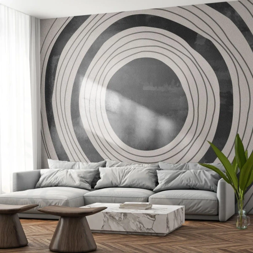 Fototapet Standard Eco - I själva kärnan - Hjul, Minimalism, Åldrig - 250x175 cm