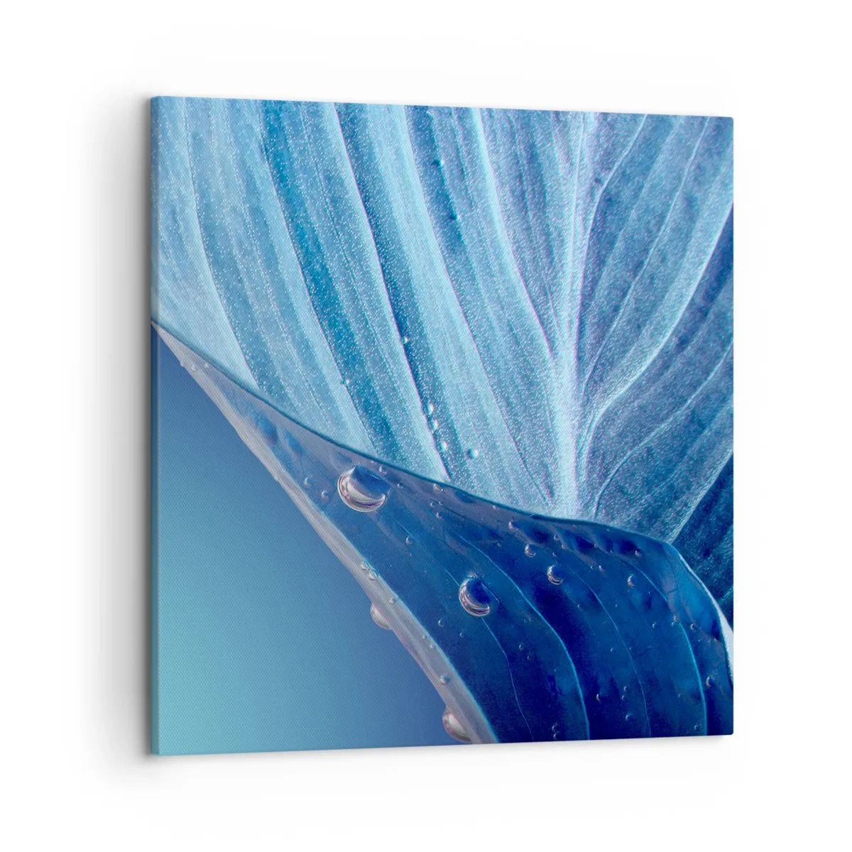 Canvastavla - Bild på duk - Dolda droppar av blått - 50x50 cm