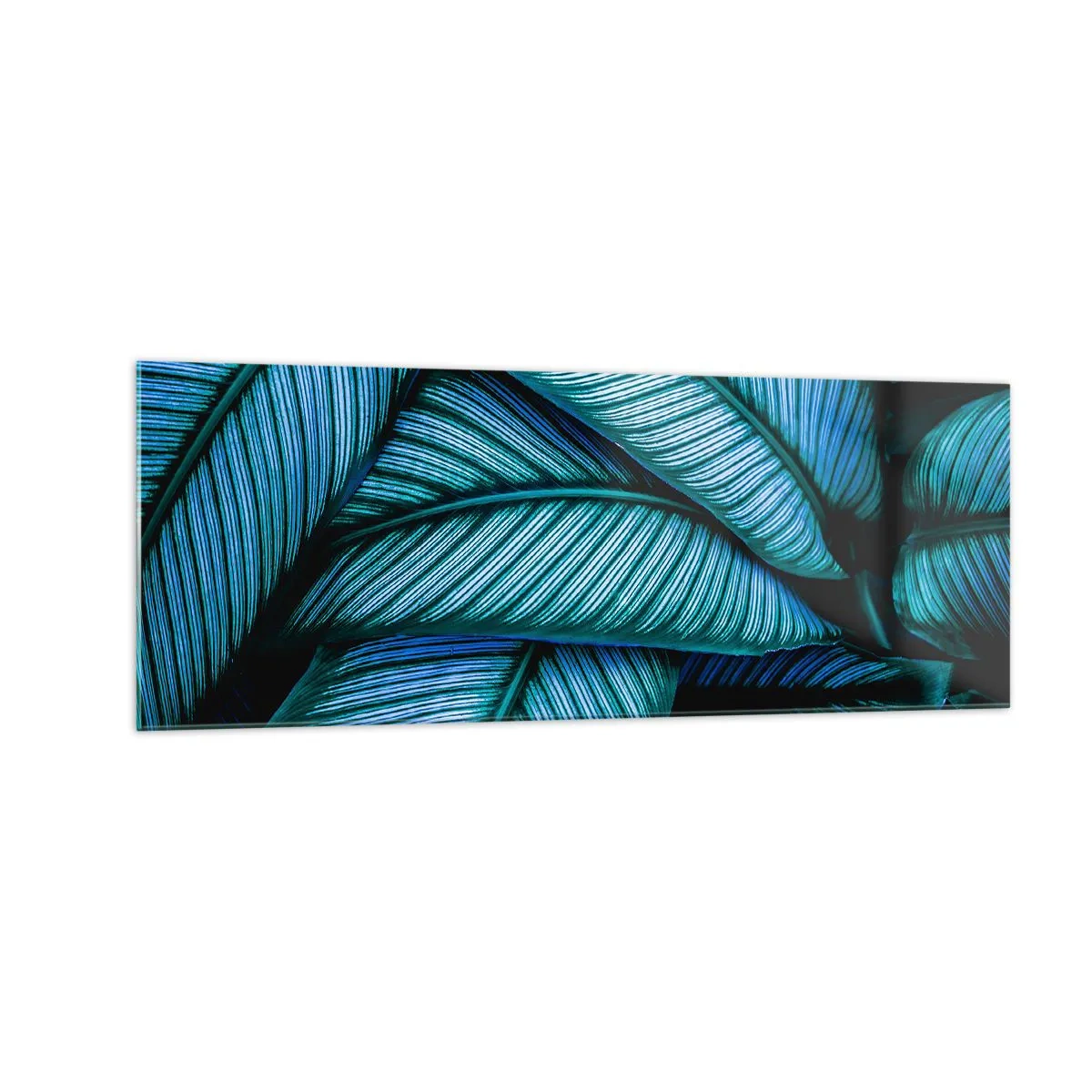 Glastavla - Bild på glas - Livslinjer - 140x50 cm