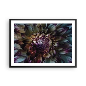 Affisch i svart ram - Blommande ungdom - 70x50 cm