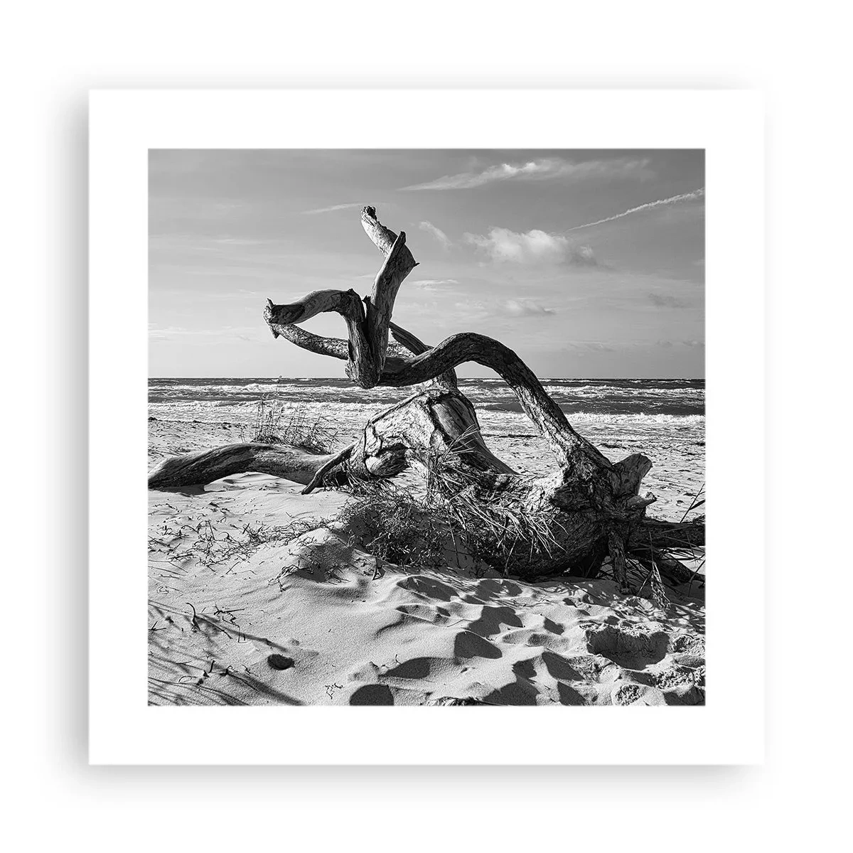 Affisch - Havets skulptur - 40x40 cm