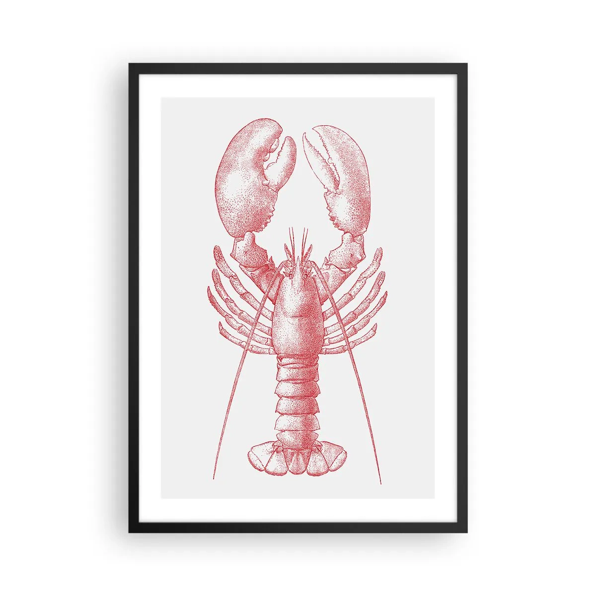 Affisch i svart ram - Vintage hummerteckning på en ljus bakgrund - 50x70cm - Hummer värdig Homer - Modern väggdekoration för vardagsrum och sovrum ARTTOR