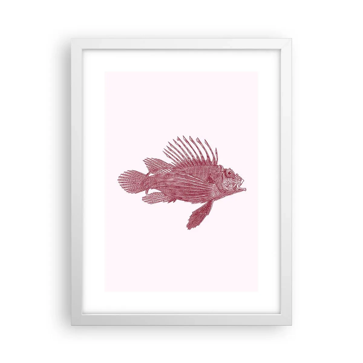 Affisch i vit ram - En invånare i exotiska vatten - 30x40 cm