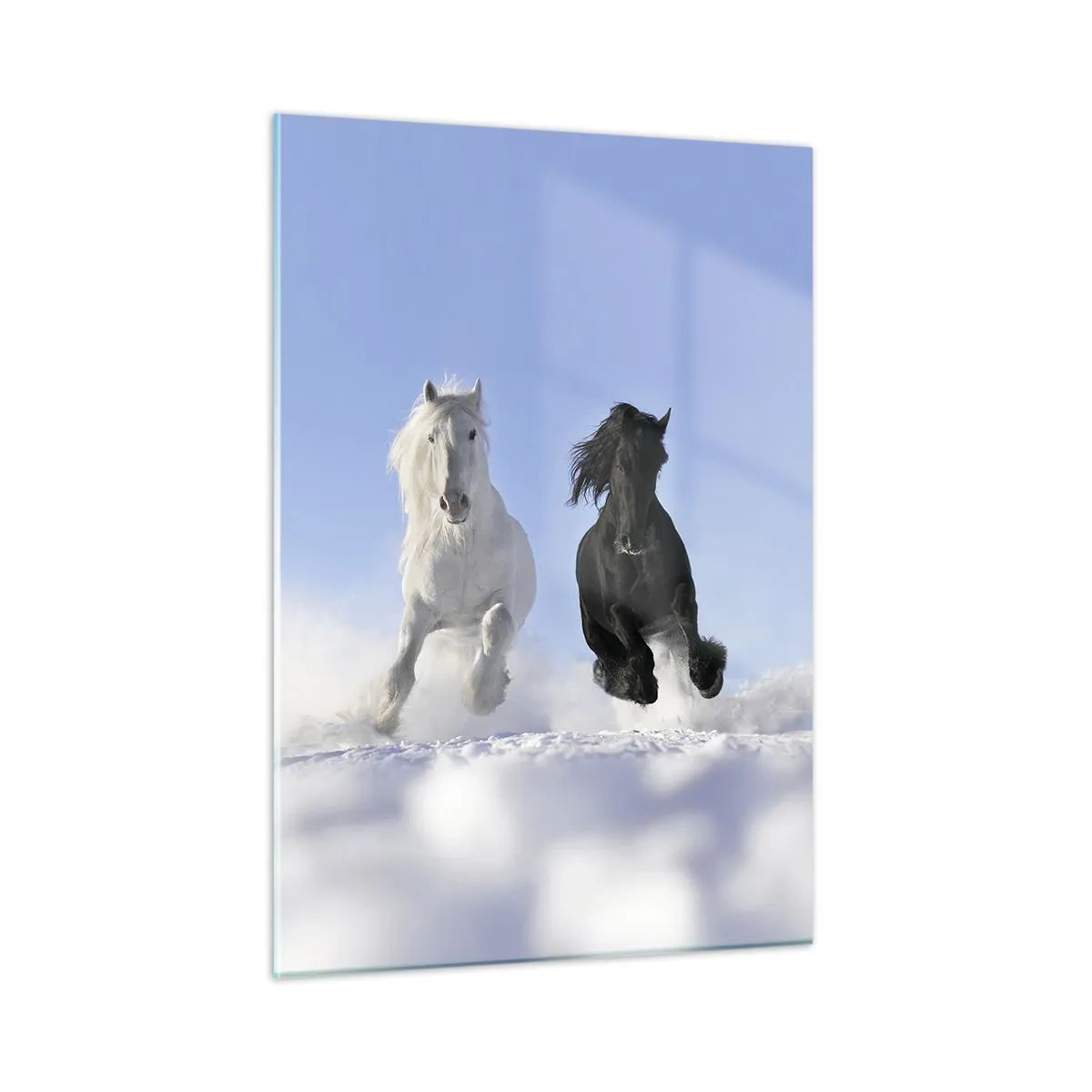 Glastavla - Bild på glas - Svart-vit galopp - 50x70 cm