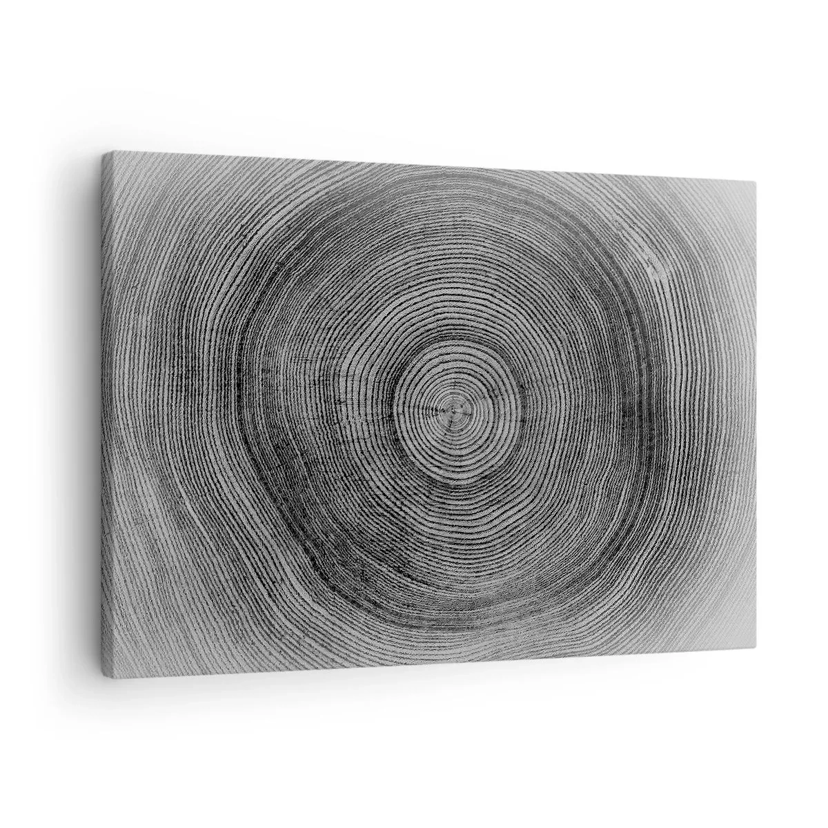 Canvastavla - Bild på duk - Svartvitt trädringmönster som visar ett tvärsnitt av stammen - 70x50cm - Ett tecken i tiden - Modern väggdekoration för vardagsrum och sovrum ARTTOR