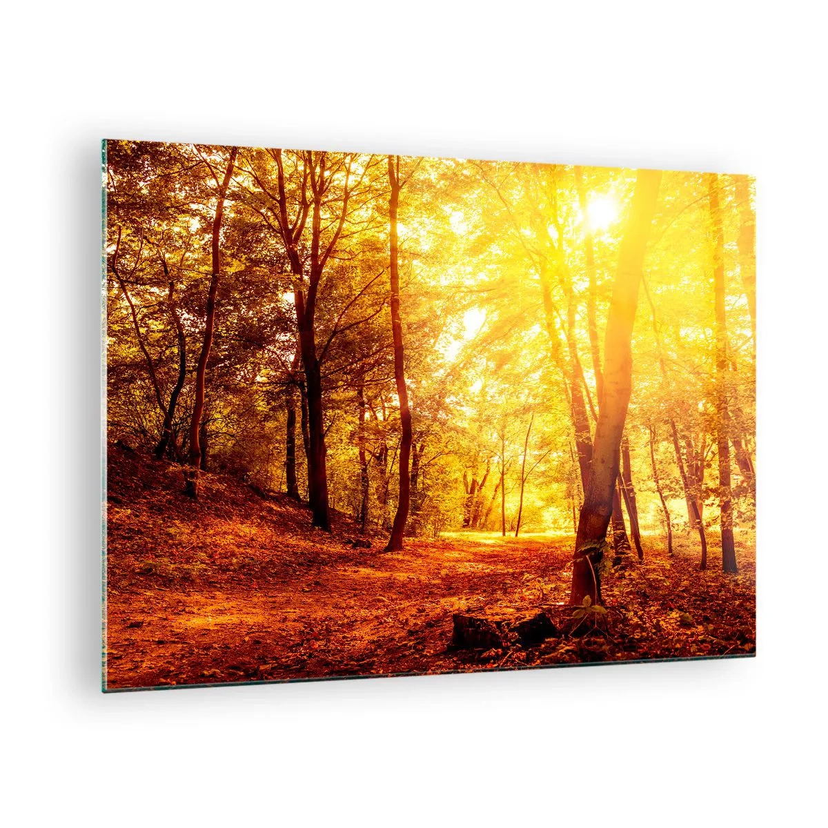 Glastavla - Bild på glas - Höstskog upplyst av solens varma sken - 70x50cm - Mot guldgläntan - Modern väggdekoration för vardagsrum och sovrum ARTTOR