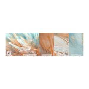 Provbit av fototapet Premium Canvas - I mildhetens land - Delikat, Fjädrar, Minimalism - 100x30 cm