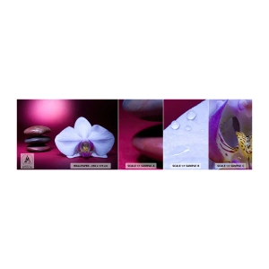 Fototapet Prov Standard Eco - En fräschhetsstudie i violett - Blommor, Spa, Stenar - 100x30 cm