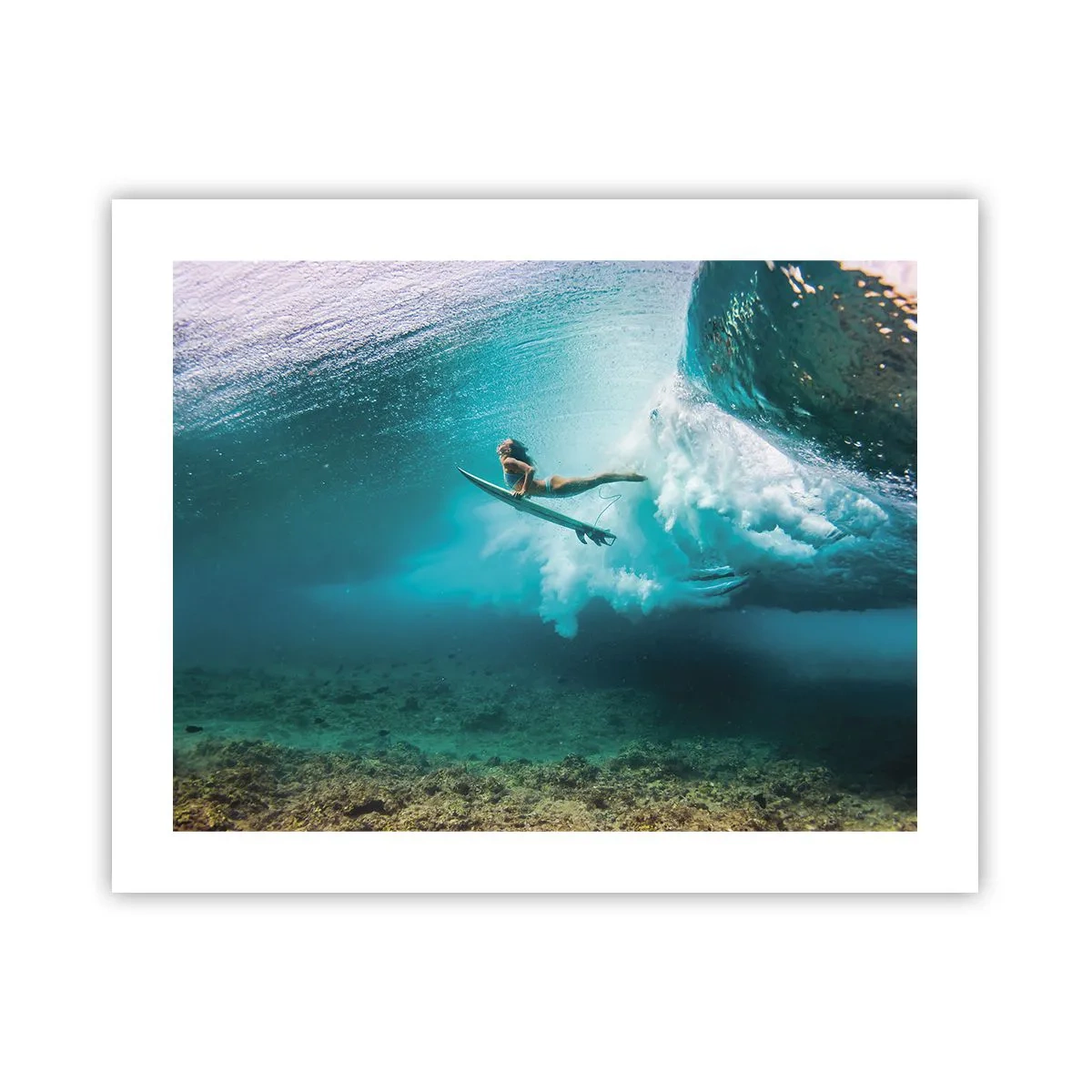 Affisch - Undervattenvärld - 50x40 cm