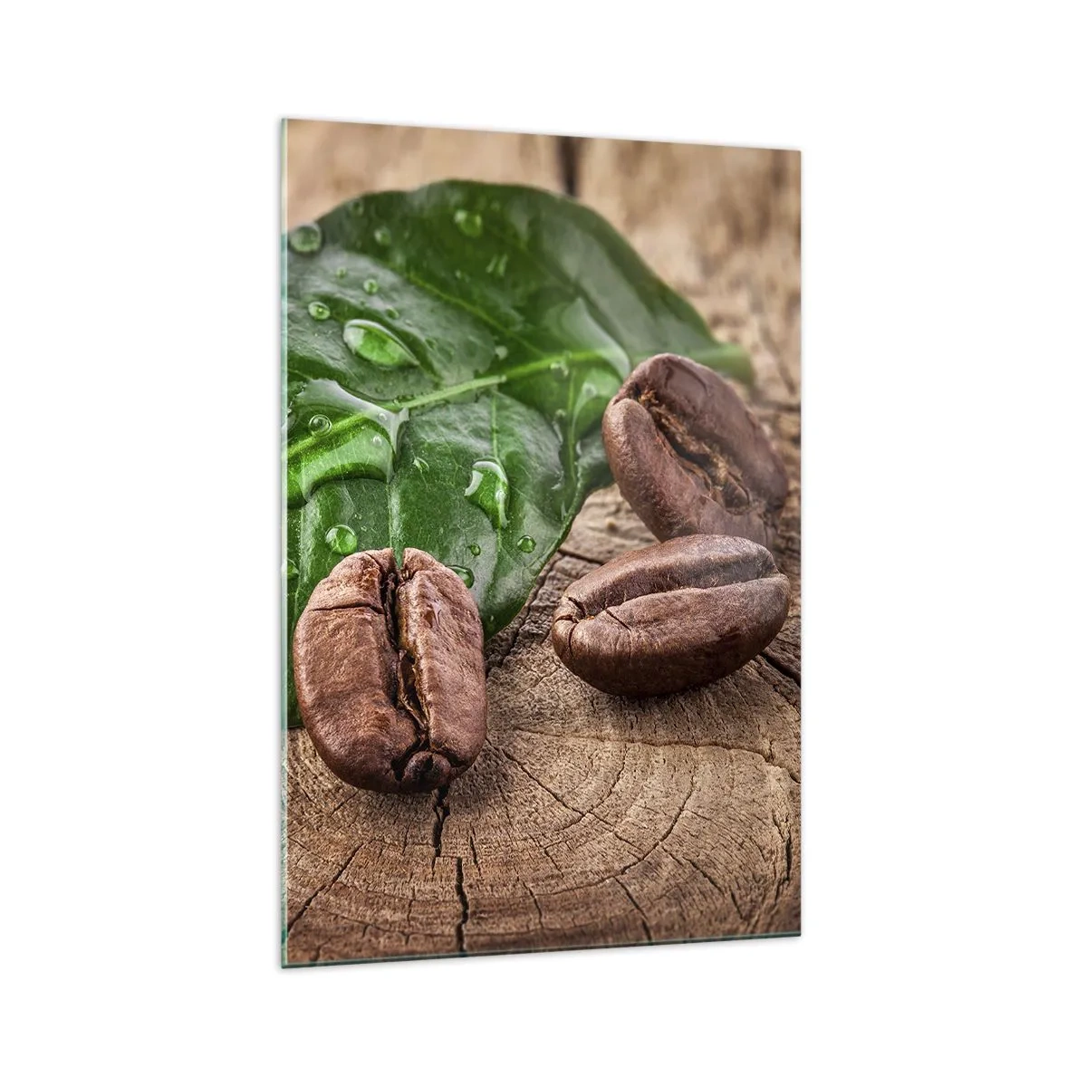 Glastavla - Bild på glas - Äkta och svart - 70x100 cm