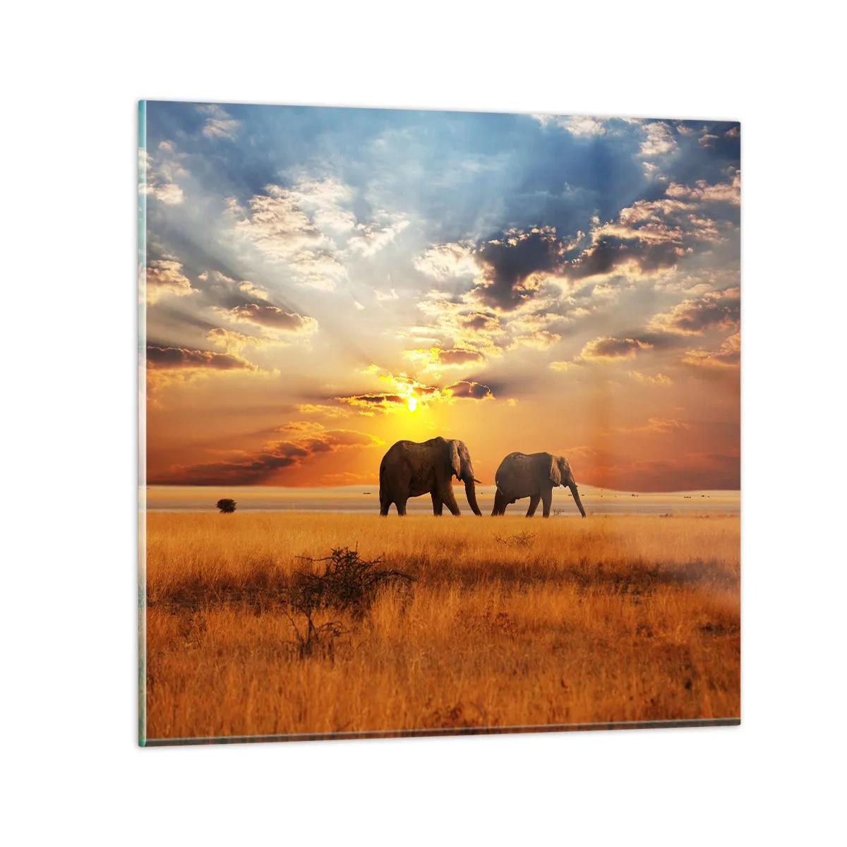 Glastavla - Bild på glas - Familjepromenad - 50x50 cm