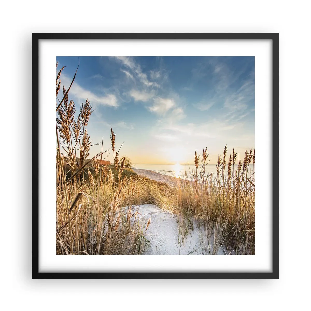 Affisch i svart ram - Nordlig strand - 50x50 cm