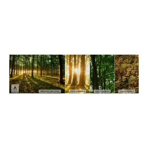 Provbit av fototapet Premium Canvas - Fotografi av alla vårar - Landskap, Skog, Natur - 100x30 cm