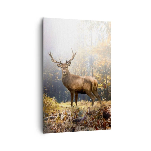 Canvastavla - Bild på duk - I fullt majestät - 80x120 cm